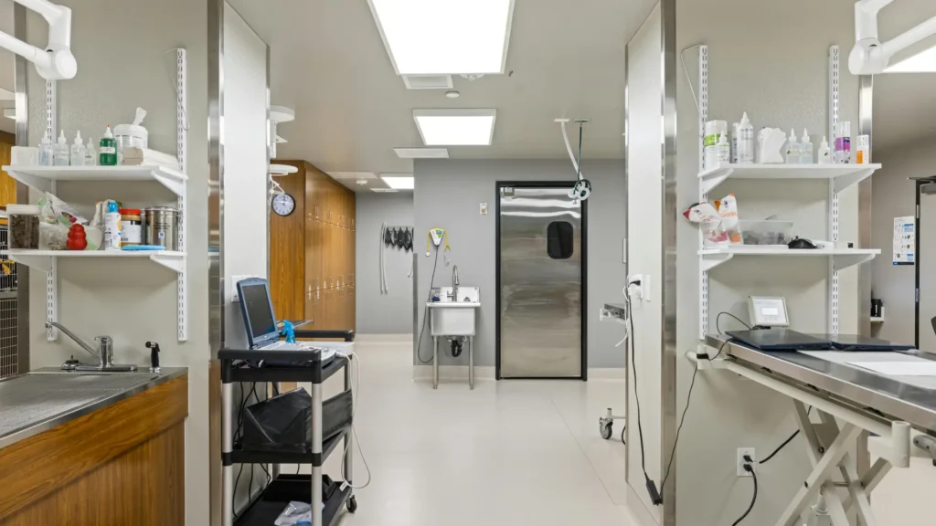 A clean, modern veterinary clinic interior with medical equipment, stainless steel sink, shelves